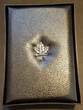 Kanada KMS 1988 1 Cent - 1 Dollar im Etui Royal Canadian Mint Proof