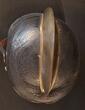 Deutschland um 1900 alter Feuerwehrhelm mit Messingkamm AK Getragen,mit Kinnriemen