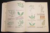 Schweiz Buch 1961 De Simplici Medicina guter Zustand