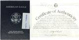 USA 1 Dollar 1999 P American Eagle 1 oz Feinsilber mit Box und Zertifikat Proof
