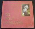 Weimarer Republik Sammelbuch Die Welt in Bildern -