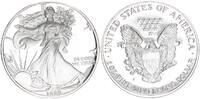 USA 1 Dollar American Eagle - Liberty 1oz -