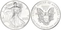 USA 1 Dollar American Eagle, 1 Unze Silber -