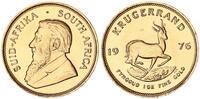 Südafrika Krügerrand 1 Unze Gold -