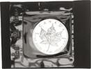 Kanada 5 Dollar Maple Leaf 1oz Silber -
