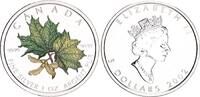 Kanada 5 Dollar 1 oz 2002 Maple Leaf coloriert St 155.83 US$  +  63.43 US$ shipping