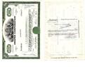 Amerika 100 Shares Anteilsschein der Darper Corporation zu 100 Shares -