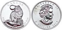 Kanada 5 Dollar - 1 Unze Canada 5 Dollar 2011  1 Unze Silber 9999 - Wildlife - Wolf