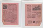3.Reich Propaganda Flugblatt / Passierschein Russisches Flugblatt Front Nachrichten - Propaganda gegen das Dritte Reich -