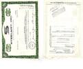 Amerika 100 Anteilsschein der STEELMET, INC -