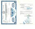 Amerika 100 Anteilsschein der Precision Polymers, INC -