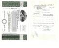 Amerika - Bahamas 1000 Shares Anteilsschein der Basic Resources International (Bahamas) Limited zu 1000 Shares -