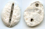 Weltmünzen Rare mother of pearl cowrie-coin, W.Zhou dynasty (1046-771 BC), China - Hartill -
