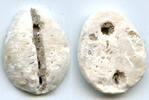 Weltmünzen Rare mother of pearl cowrie-coin, W.Zhou dynasty (1046-771 BC), China - Hartill -