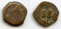 Antike Bronze prutah of Herod Agrippa I , Jerusalem, Ancient Judaea -