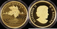 Kanada 200 Dollar 200 $ Maple Leaf 2015 - Reflection Picture