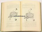 Deutsches Reich um 1900 Therese de Dillmont / Encyklopädie der weiblichen Handarbeiten 2