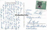 Buchau / Federsee / Württemberg Um 1960 Ansichtskarte / Postkarte / Federseesteg mit Plattform 1-2