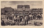 Husum Ansichtskarte/Postkarte/Husum./Husumer Viehmarkt. -