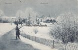 Hannover Ansichtskarte/Postkarte/Hannover./Maschpark. -