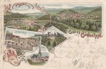 Biedenkopf Litho/Ansichtskarte/Gruss aus Biedenkopf./Schloss./Total-Ansicht./... -