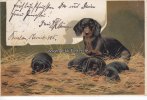 Deutsches Reich Ansichtskarte/Postkarte/Künstlerkarte/signiert Mailick/Dackel -