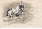 Deutsches Reich Ansichtskarte/Postkarte/Prägekarte/Hunde -