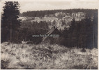 Oberhof / Thüringen Ansichtskarte / Postkarte / Oberhof, Thür. Wald, 830 m.ü.d.M. -