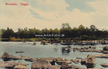 Högby / Schweden Ansichtskarte / Postkarte / Homssjön. Högby. -