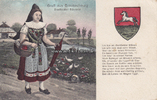 Braunschweig Ansichtskarte / Postkarte / Gruß aus Braunschweig / Borfelder Bäuerin -