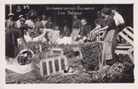 Las Palmas/Gran Canaria/Spanien Ansichtskarte / Postkarte / Empaquetando Bananas / Las Palmas / 39. -