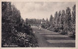 Bottrop Ansichtskarte / Postkarte / Bottrop. Stadtgarten. -