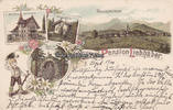 Holzkirchen / Miesbach / Bayern Ansichtskarte / Postkarte / Litho / Gruss aus Pension Liebhaber / Holzkirchen .. -