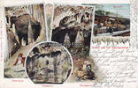 Grüne / Iserlohn Ansichtskarte / Postkarte / Gruss aus der Dechenhöhle -