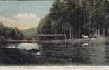 Brehme / Duderstadt / Ohmgebirge / Thüringen Ansichtskarte / Postkarte / Gruss aus dem Ohmgebirge / Wildunger Teich mit ... -