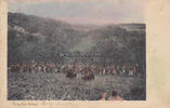 Südafrika Ansichtskarte / Postkarte / Zulu War Dance -