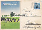DDR Ansichtskarte / Postkarte / Zulu War Dance -