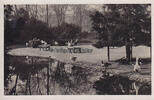 Frankfurt am Main Ansichtskarte / Postkarte / Tiergarten der Stadt / Stelzvogelwiese -