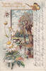 Deutsches Reich 1901 Ansichtskarte / Postkarte / Pr&auml;gekarte / Spinne am ... 38.98 元  ＋  77.96 元 运费