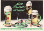 Wernesgrün i. V. Werbekarte / Grenzquell-Brauerei, H. Günnel Wernesgrün i.V. -