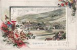 Oberkirch Prägekarte/Oberkirch/Total -