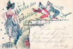 Heidelberg Ansichtskarte/Gruss vom Fastnachtsball im Colosseum Heidelberg/1900 -