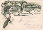 Hannover Litho/Gruss aus Steuerndieb, bei Hannover. -