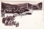 Herrenalb Litho/Gruss aus Herrenalb./Kloster-Ruine./Conversations-Haus. -