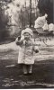 Deutsches Reich Ansichtskarte/Postkarte/Prinz Wilhelm/der älteste Sohn unseres Kronprinzenpaares -