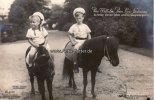 Deutsches Reich Ansichtskarte/Postkarte/Prinz Wilhelm, Prinz Louis Ferdinand/die beiden... -