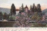 Neckargemünd Ansichtskarte/Postkarte/Der Kümmelbacherhof bei Neckargemünd -