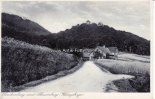 Rinteln/Paschenburg/Schaumburg Ansichtskarte/Postkarte/Paschenburg und Schaumburg (Wesergebirge) -