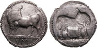 Greek coins 530-510 BC Lucania Sybaris extremely fine