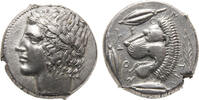 Griek,s munten tetradrachm 450-420BC Sicily, Leontini Extremely fine, beautiful.